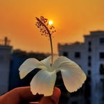 Saad  Khatri - @saad_khatr_i28 - Instagram