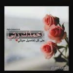 Leen11 - @saadleen11 - Instagram