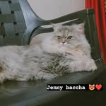 Saad Mansuri - @saad___mansuri - Instagram