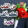 حسن سعد محي الدين - @hassansaadmohiuddin - TikTok