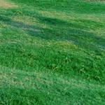 Saad Mohsin - @saad_mohsin_392 - Instagram
