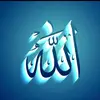 saad Mohsin - @saadmohsin8 - TikTok