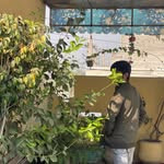 Saad Malik Saad Malik - @_saad_riaz_34 - Instagram
