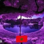 Saad Rodriguez - Facebook