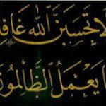 Saad Selim - @sleem.saad - Instagram