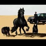 Saad Toor - @toor3189 - Instagram