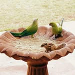 Saadia Kamran - @kamransadyaa - Instagram