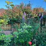 Saadia Kamran - @saadia.kamran - Instagram