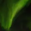 Saadia Rose kungitok - @idk12345678k90 - TikTok