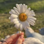 saadia sheikh - @saadia_sheikh123 - Instagram