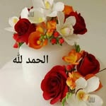 Saadia Usman - @umme__daania - Instagram