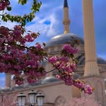 Saadia usman - @sadia_usman_50 - Instagram