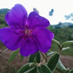 saadia usman pandi - @saadiausmanpandi - Instagram