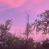 Sadie 😘 - @sadie.anderson18 - TikTok