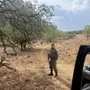 Saar cohen - @saarcohen1 - TikTok