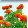 SAB  Singh - @sab40046 - TikTok