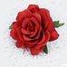 Sab Singh - Facebook