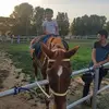 Saba Aun - @saba.aun - TikTok
