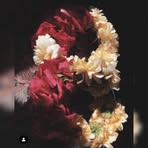 Saba Awan - Facebook