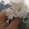 Saba Azad - @saba54939 - TikTok