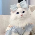 saba chohan - @saba645225 - Instagram