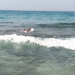 Sabatino - @saba_daniello - Instagram