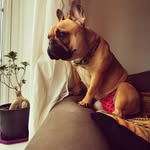 sabadeanalexandru - @sabadeanalexandru8374 - Instagram