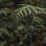 Saba@eftekhari - @saba_eftekhari34 - Instagram