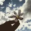 Saba Haider - @saba.haider10 - TikTok