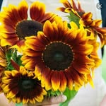 Saba Hashim Alfaki - @bit_alfaki - Instagram