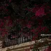 SAbA - @saba.hashim76 - TikTok
