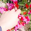 Noor - @saba_iftikhar - TikTok