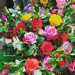 Saba Iftikhar - @saba_iftikhar75 - Instagram