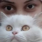 Saba Iftikhar - @sba_iftikhar - Instagram