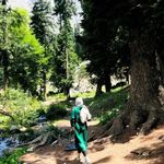 Dr Saba Khalid - @sabakhalidk22 - Instagram