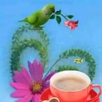Saba Khalid - Facebook