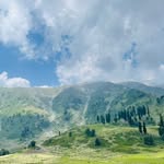 Dr. Saba Tariq - @_saba_tariq - Instagram