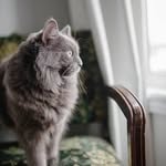 saba tariq - @sabatariq473 - Instagram