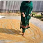Saba Tariq - Facebook