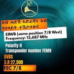 Saba Tesfayohannes - @sabatesfayohannes - Instagram
