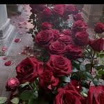 Sabah Dibo - @sabah_dibo_12 - Instagram