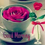 Sabeer Shaikh - @shaikh.sabeer - Instagram