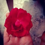 Sabera_patel10620 - @sabera_patel20 - Instagram