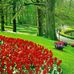 Sabera Patel - Facebook
