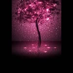 Sabera Patel - @sabera.patel.9022 - Instagram