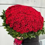 sabera patel - @sabera7976 - Instagram
