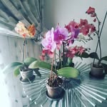 sxberx_pxtel_ - @sabera_patel_ - Instagram