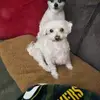 sabinaclark - @sabinaclark - TikTok