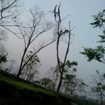 Sabin Sampang - @sabinsampang - Instagram