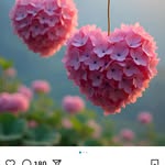 Sabina Basic-Hadzic - @basic5348 - Instagram